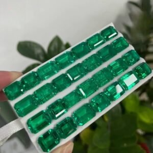 EVN-ALI-1601671848298 0 lama-clean