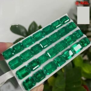 EVN-ALI-1601671848298 0 clean