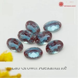 EVN-ALI-1601766135152 0 clean
