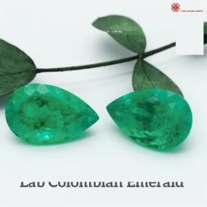 EVN-ALI-1601787161702 0 clean
